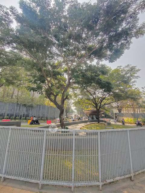 3 BHK Flat In Lodha Belmondo for Rent  In Gahunje