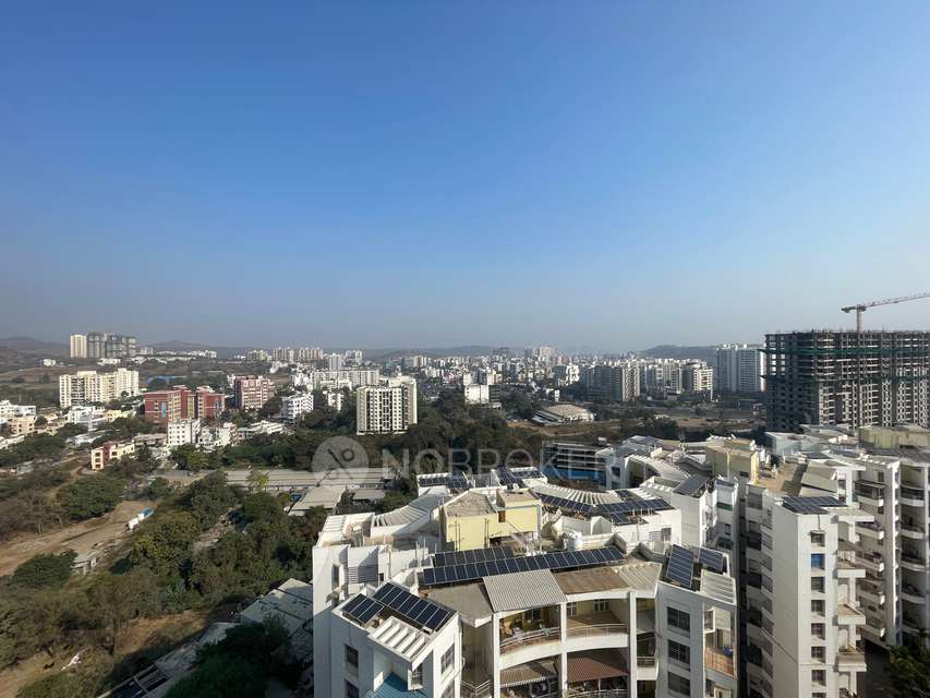3 BHK Flat In Gloria Grand for Rent  In Bavdhan