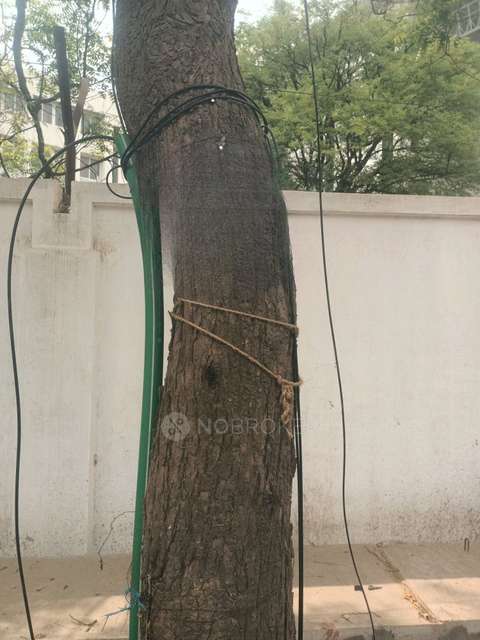 2 BHK House for Rent  In K.g.tammenahalli