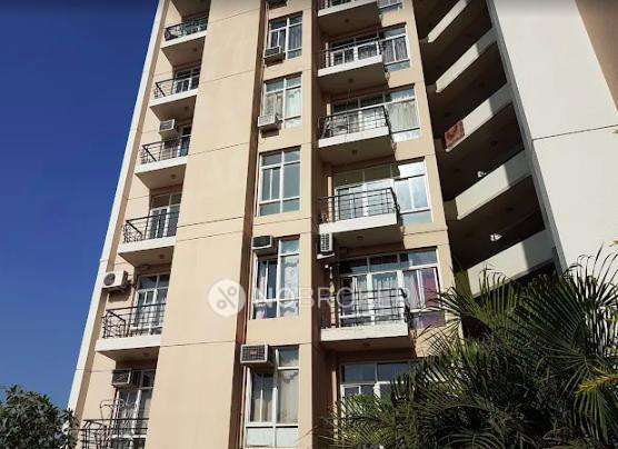 Single Room for Male In 3 BHK  In Grand Omaxe  In G97r+48m, Shaheed Sukhdev Marg, Sector 93b, Noida, Uttar Pradesh 201304, India