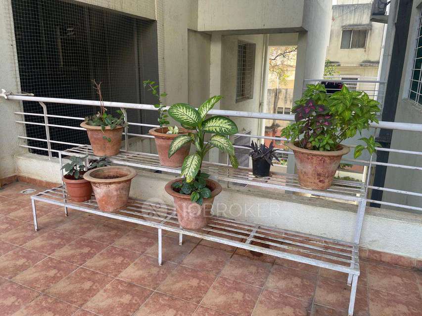 2 BHK Flat In Slk Hights for Rent  In Sopan Baugh