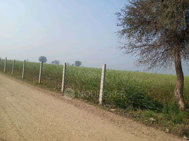 Plot For Sale  In Agriculturelend In 1, Yakubpur Rd, Block A, Sector 85, Noida, Uttar Pradesh 201304, India