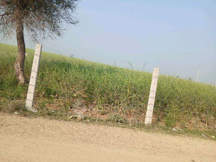 Plot For Sale  In Agriculturelend In 1, Yakubpur Rd, Block A, Sector 85, Noida, Uttar Pradesh 201304, India