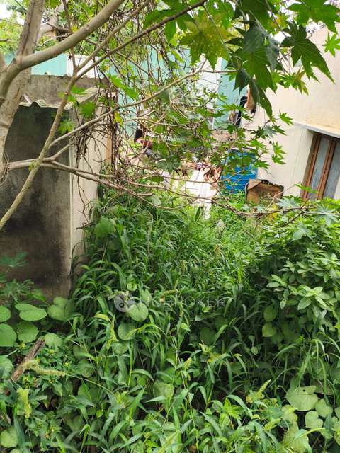 Plot For Sale  In Kothanur Post