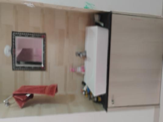 2 BHK Flat In My Homes Kiwale for Rent  In Ravet,