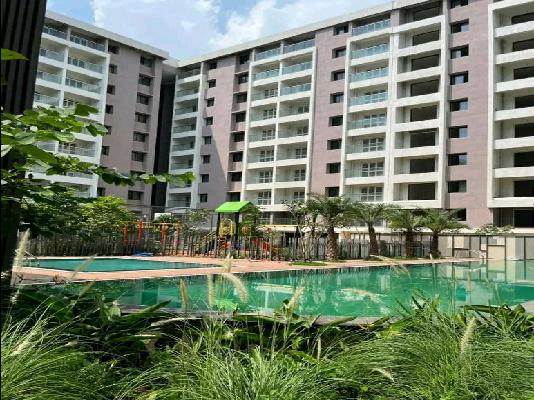 3 BHK Flat In Kohinoor Viva City for Rent  In Dhanori