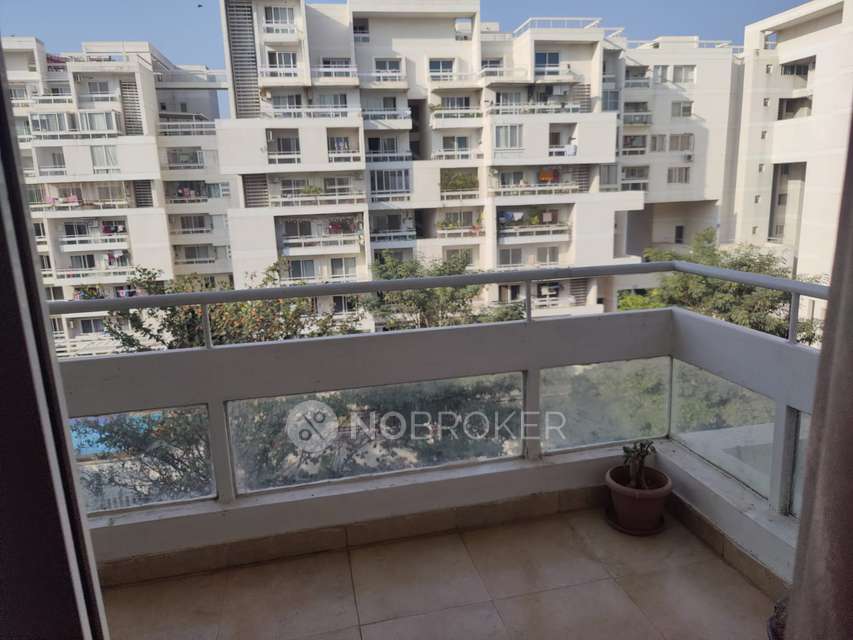 2 BHK Flat In Rohan Jharoka for Rent  In Bellandur, Bangalore
