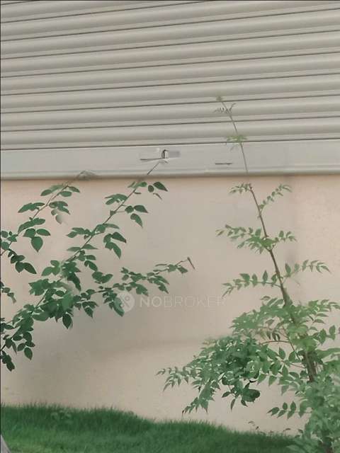 Shop in Dehu, Pune for Rent 