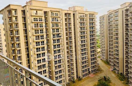 3 BHK Flat In Habitat 102 for Rent In Conscient Habitat 102