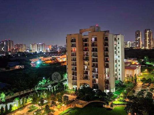 3 BHK Flat In Vipul Lavanya Apartments  For Sale  In Sector 81