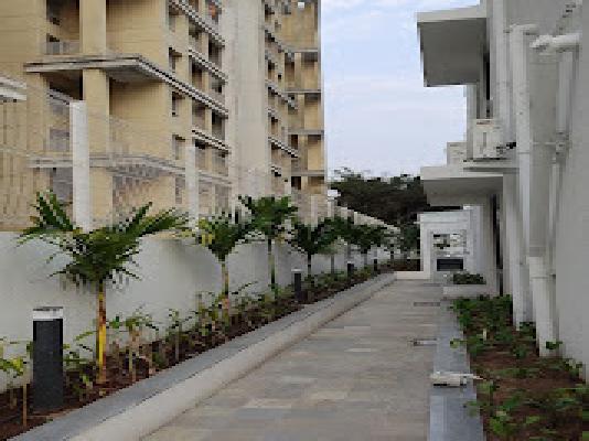 2 BHK Flat In Rohan Prathama for Rent  In Hinjewadi