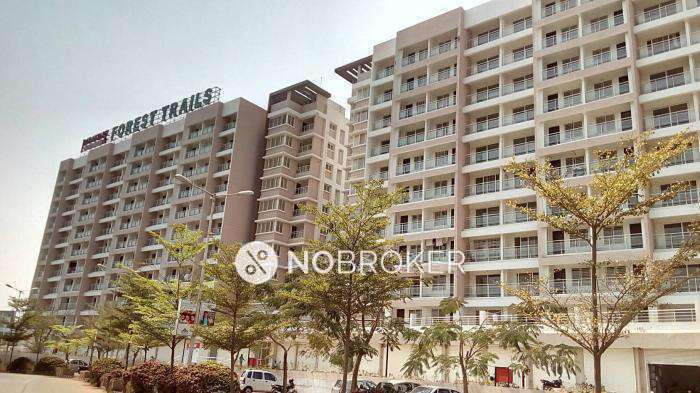 1 BHK Flat In Forest Trails Pebbles Chs Ltd Bhugaon for Rent  In Bavdhan