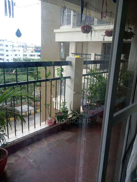 3 BHK Flat In Oceanus Tranquil for Rent  In Oceanus Tranquil