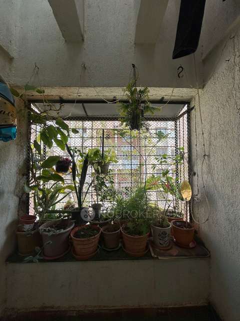 3 BHK Flat In Siddhivinayak Prime Plus, Pimple Saudagar for Rent  In Pimple Saudagar