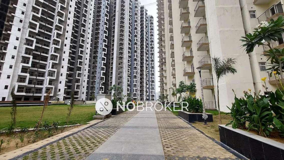 1 BHK Flat In Amrapali Dream Valley Phase 2 High Rise for Rent  In Amrapali Dream Valley