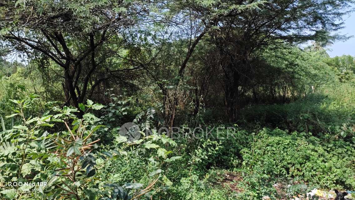 Plot For Sale  In Anuppampattu Railway Station