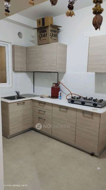 2 BHK Flat In Nikoo Homes 2 for Rent  In Nikoo Homes 2