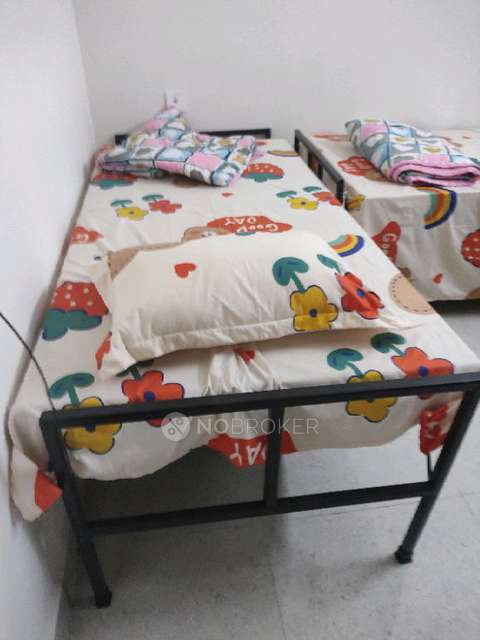 Single Room for Female In 1 BHK  In Homestay In Dlf It Sez Park Main Entrance