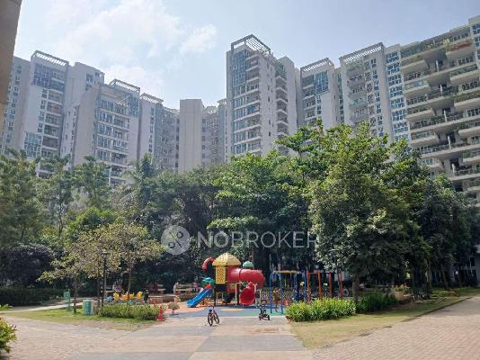 3 BHK Flat In Brigade Cosmopolis for Rent  In Whitefield