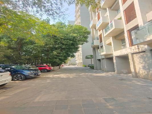 1 BHK Flat In Lodha Belmondo for Rent  In Gahunje