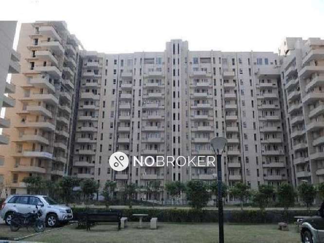 3 BHK Flat In Standalone Building  for Rent  In Sector 56