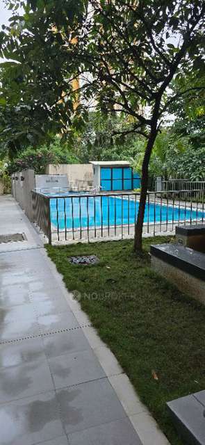 Single Room for Male In 2 BHK  In Gera Adara In Gera's Adara