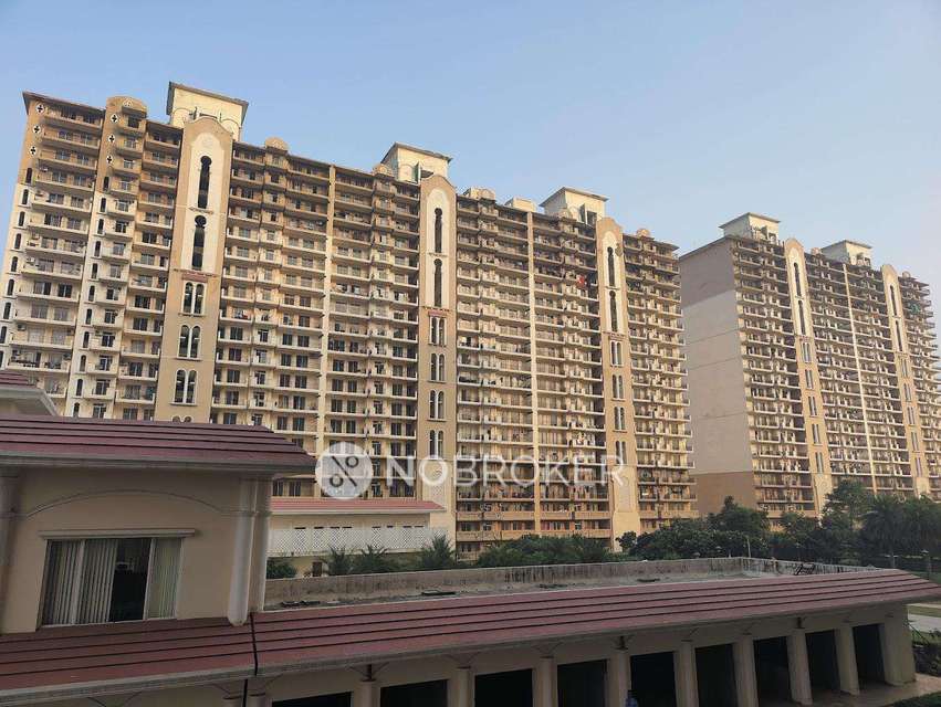 3 BHK Flat In Dlf Express Greens for Rent  In Manesar