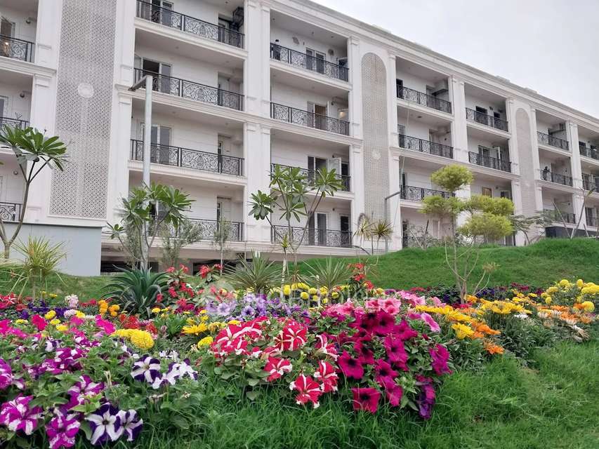 3 BHK Flat In Trehan Sec 71 for Rent  In Sec 71