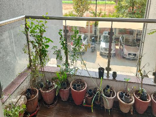 1 BHK Flat In Venkatesh Graffiti Glover, Keshav Nagar for Rent  In Keshav Nagar