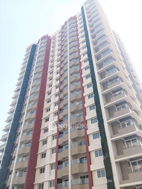 3 BHK Flat In Avon Vista for Rent  In Balewadi
