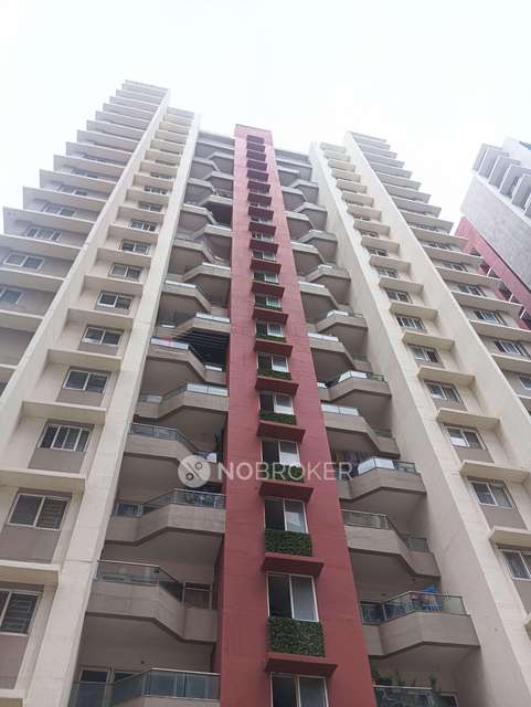 3 BHK Flat In Avon Vista for Rent  In Balewadi