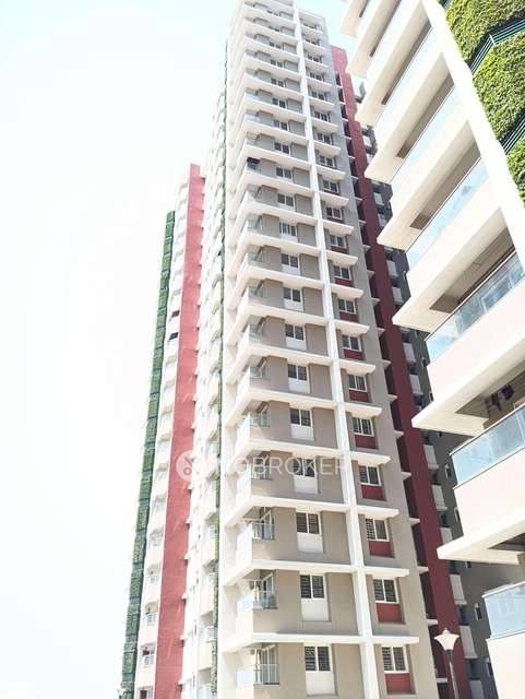 3 BHK Flat In Avon Vista for Rent  In Balewadi