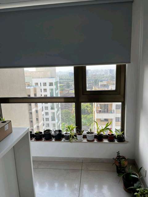 4+ BHK Villa In One North Panchshil Realty for Rent  In Magarpatta City, Pune