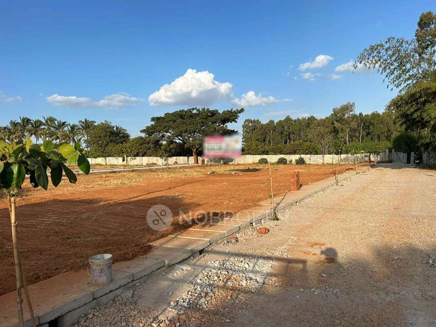 Plot For Sale  In Kannuru