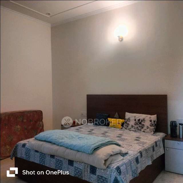 PG for Anyone in Rho 2, Sector 37, Gateno 4