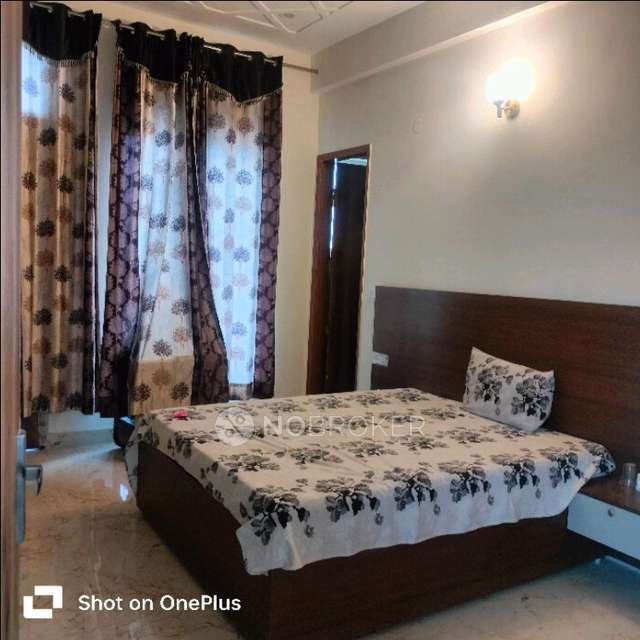 PG for Anyone in Rho 2, Sector 37, Gateno 4