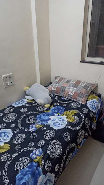 Single Room for Female In 2 BHK  In Everglade Apartments Kharadi In Kimchi