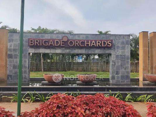 2 BHK Flat In Ivory At Brigade Orchards for Rent  In Kempegowda International Airport