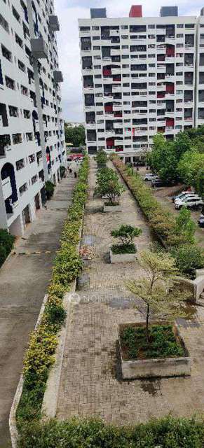 3 BHK Flat In Kumar Park for Rent  In Magarpatta City