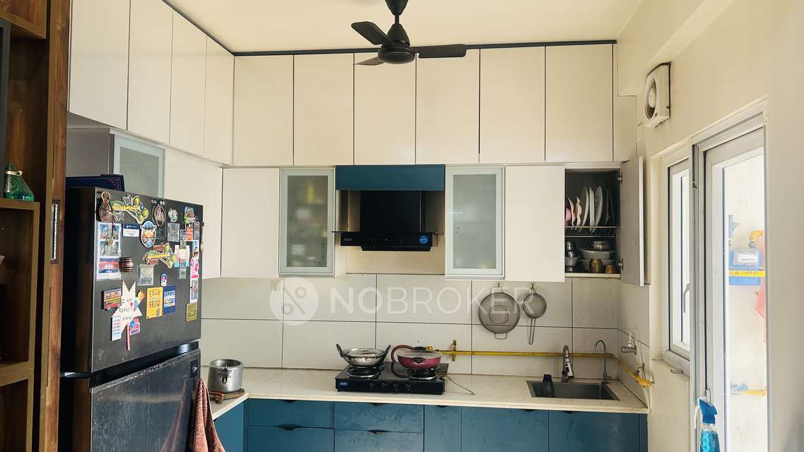 3 BHK Flat In  Gulshan Botnia For Sale  In Sector 144