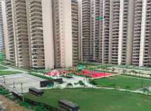 2 BHK Flat In 16th Parkview Independent Floors  for Rent  In Yamuna Expressway