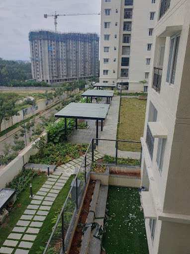 2 BHK Flat In Provident Capella, Whitefield for Rent  In Whitefield