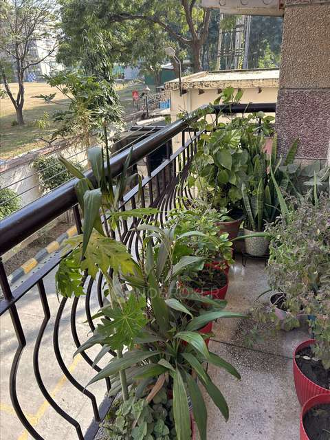 3 BHK Flat In High Land Green For Sale  In Sector 55