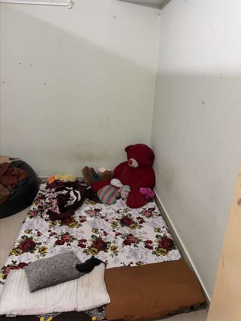 Shared Room for Female In 3 BHK  In Hitech City