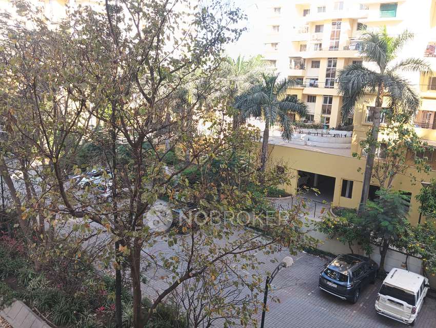 3 BHK Flat In Pride Purple Park Street for Rent  In Wakad