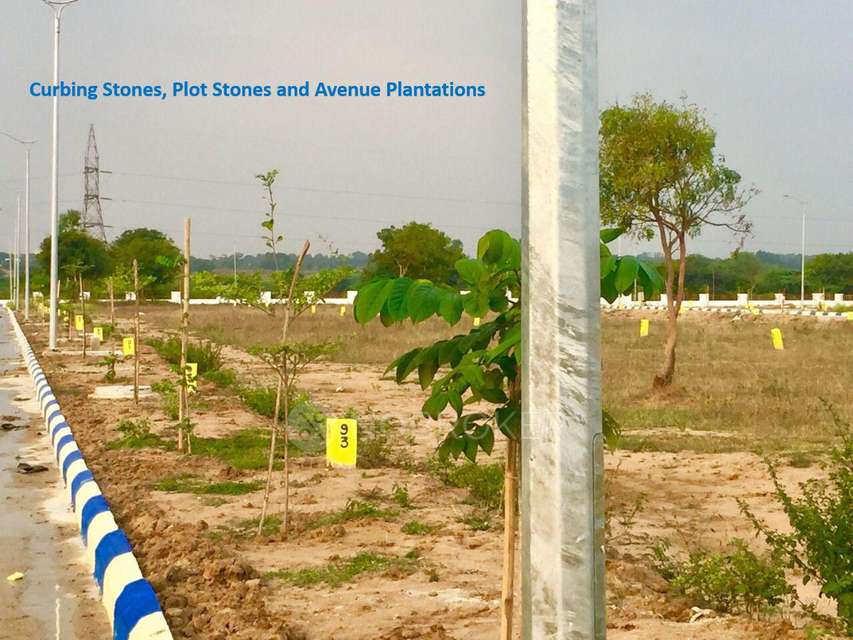 Plot For Sale  In Tmr Urban Meadows In Bommarasipet