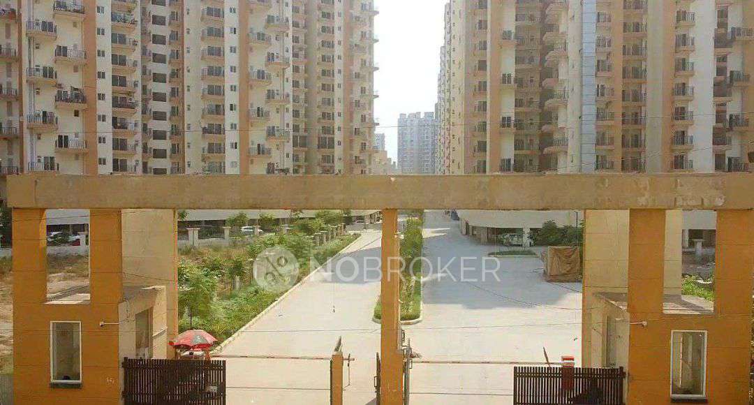 3 BHK Flat In Amarapalli Terrace Homes For Sale  In Noida Extension