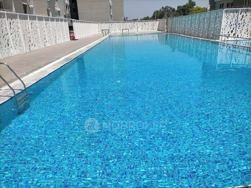 2 BHK Flat In Sjr Blue Waters For Sale  In Kudlu Gate