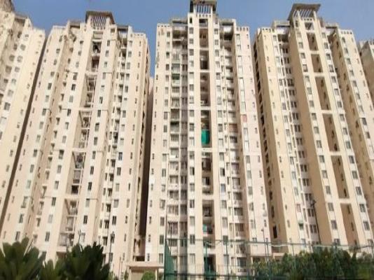 3 BHK Flat In Jaypee Klassic Heights  for Rent  In Sector 134