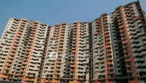 Single Room for Male In 2 BHK  In Logix Blossom Zest In Sector 143